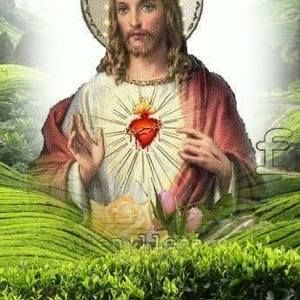 Meet your Posher, Victor